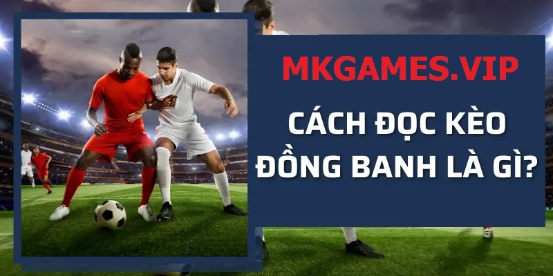 Cách đọc kèo đồng banh